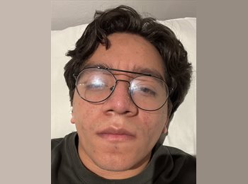 Roomgo MX - Ángel  - 24 - Alvaro Obregón