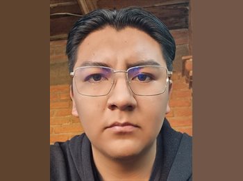 Roomgo MX - Brandon - 24 - Querétaro