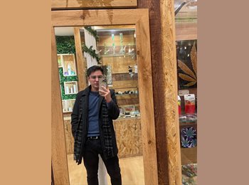 Roomgo MX - Alfredo García  - 33 - México - D.F.