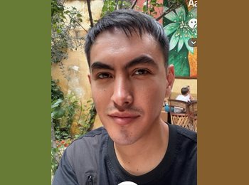 Roomgo MX - Diego - 33 - México - D.F.