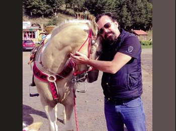 Roomgo MX - Carlos - 51 - Cancún