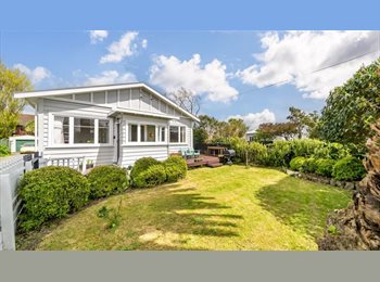 Roomgo NZ - Flatmate Wanted – Must Love Snacks (and Paying Rent on Time), Wellington - $300 pw