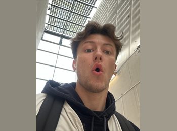 Roomgo NZ - Loïc - 24 - Christchurch