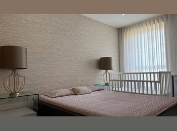 Roomgo PT - Edifício ROSA D’ouro, Porto - 990 € Por mês