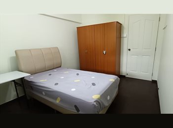 Roomgo SG - Ang Mo Kio Ave 3 Blk 343 Room for rent, Ang Mo Kio - $900 pm