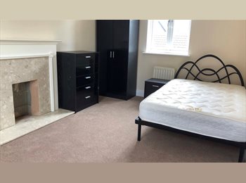 Roomgo UK - Spacious double room in Hatfield AL10, Hatfield - £675 pcm