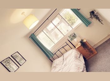 Roomgo UK - Clean tidy home, Woodgate - £460 pcm