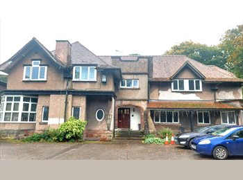 Roomgo UK - Spacious double room in Leek £380 pcm inc bills, Leek - £380 pcm