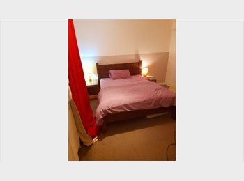 Roomgo UK - Calm relaxed house share with landlord, Norwich - £585 pcm