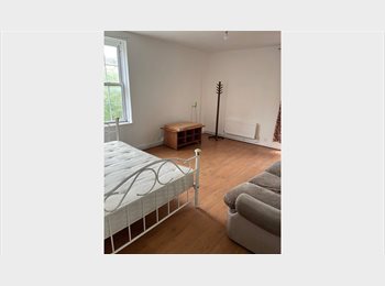 Roomgo UK - Large double available room available in Clapham flat, Clapham - £950 pcm