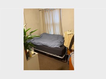 Roomgo UK - Double Room in Great, Peaceful Area, Harringay - £600 pcm