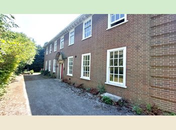 Roomgo UK - Rooms from £425 pcm inc bills in Solihull Town, Solihull - £425 pcm