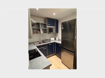 Roomgo UK - Bedroom available from 1st March in lovely 2 bedroom flat in Surrey Quays/Canada Water, Canary Wharf - £1,065 pcm