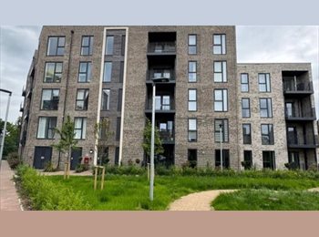 Roomgo UK - Spacious Ensuite bedroom 3 to 4 months, Loughton - £1,000 pcm