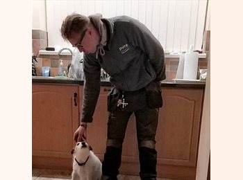 Roomgo UK - Shane - 25 - Sheldon