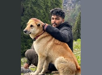 Roomgo UK - Mohammed - 29 - Charing Cross