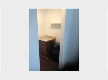 Roomgo US - LARGE EFFICIENCY STUDIO FOR RENT (600 SQUARE FEET), Baldwin Vista  - $1,300 pm