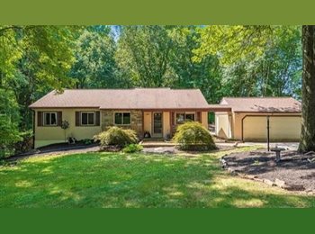 Roomgo US - Master Bedroom in quiet, end of cul-de-sac home, Damascus - $975 pm