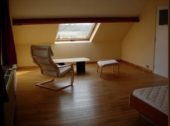 Appartager BE - Chambre 32m2 maison calme campagne Wavre/Ottenburg, Wavre - 525 € pm