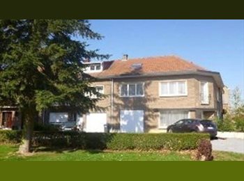 Appartager BE - 3 chambres dispo àpd 1/9/26 -  Wezembeek-Oppem, Wezembeek-Oppem - 485 € pm