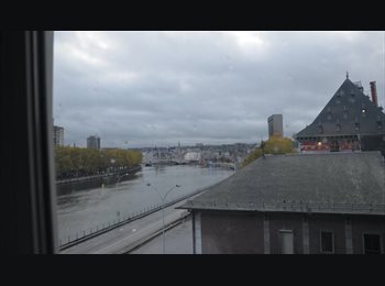 Appartager BE - Dans Appartement 3 chambres vue sur Meuse, Liège - 430 € pm