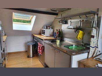 Appartager BE - Studio à louer à proximité immédiate du métro Roodebeek, Woluwe Saint Lambert - Sint Lambrechts Woluwe - 750 € pm