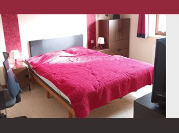 Appartager BE - Colocation calme pour travailleur frontalier., Virton - 580 € pm