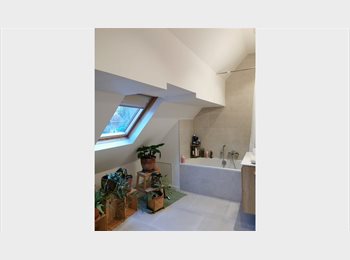 Appartager BE - Qui vous nous rejoindre dans l'ancienne maison des artistes de Ramillies ?, Ramillies - 550 € pm