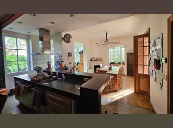 Appartager BE -  Vegetarian/Vegan Cohousing – A Warm Welcome Awaits You! , Schaerbeek Schaarbeek - 500 € pm