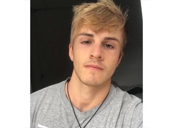 Roomgo BR - Lucas Ambrosi - 25 - Curitiba