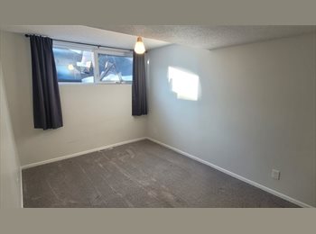 Roomgo CA - Room rental-Adelaide/Churchill, Saskatoon - $800 pcm