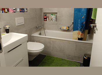 Roomgo CH - Chambre chez l'habitant, Fribourg - 450 CHF / Mois