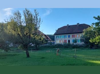 Roomgo CH - Recherche colocataire  dans un bel appartement en pleine nature, Neuchâtel - 900 CHF / Mois