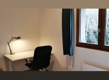 Roomgo CH - Chambre sympa dans une grande villa avec jardin et potager, Genève - 1 095 CHF / Mois