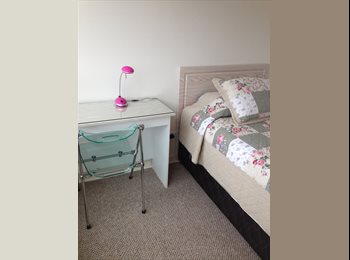 CompartoDepto CL - Comparto departamento, Viña del Mar - CH$300.000 por mes