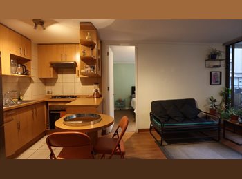CompartoDepto CL - Arriendo dormitorio con baño privado en barrio Lastarria, Santiago Centro - CH$400.000 por mes