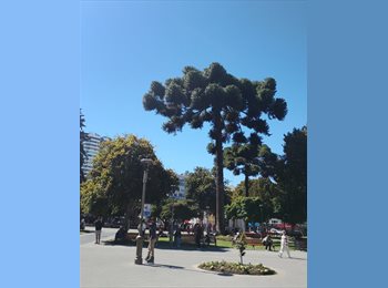 CompartoDepto CL - José Diaz - 18 - Concepción