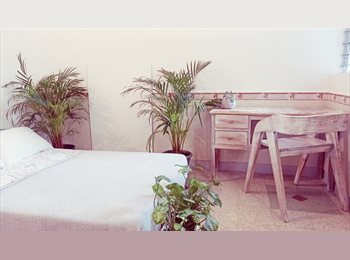 CompartoApto CO - Serenidad y naturaleza, Medellín - COP$ 998.000 por mes