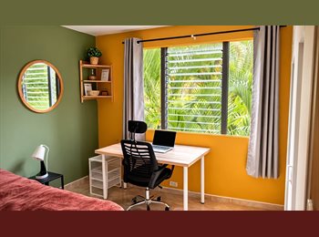 CompartoApto CO - Casa Santpoort - Iluminado, agradable y tranquilo, Medellín - COP$ 1.000.000 por mes