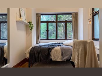 Roomgo HK - Quiet Cozy Room in Causeway Bay, Wan Chai - HKD11,900 pcm