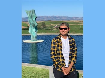 Roomgo IE - Prashant - 44 - Dublin