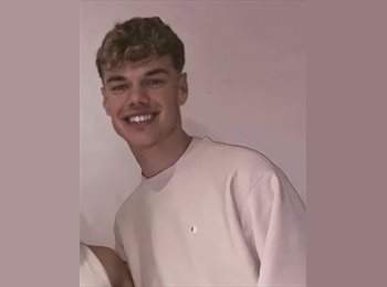 Roomgo IE - Connor - 26 - Galway