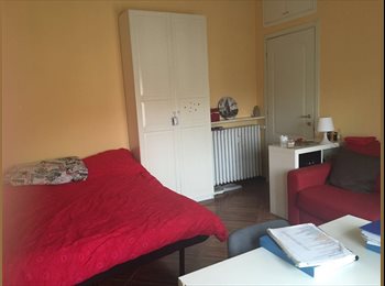 Roomgo IT - Comoda ampia con balcone privato a pochi minuti a piedi dal centro città, Pavia - 420 € al mese