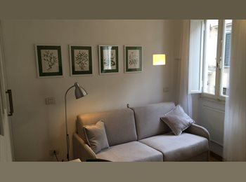 Roomgo IT - Piccolo monolocale luminoso in Oltrarno, Firenze - 500 € al mese