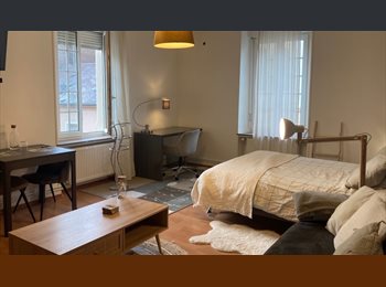 Appartager LU - Immense chambre de 27 m2 dans maison de maître - Pas de frais d'agence, Esch-sur-Alzette - 900 € / Mois