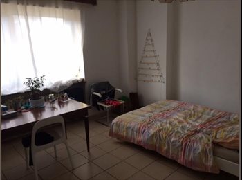 Appartager LU - large room   with independant bathroom, Luxembourg - 1.100 € / Mois