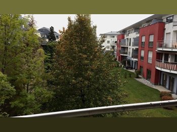 Appartager LU - Luxembourg-Limpertsberg - Chambre meublée dans bel appartement - Furnished room in nice appartement, Luxembourg - 975 € / Mois