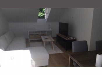 Appartager LU - Room in Luxembourg center, Luxembourg - 1.000 € / Mois