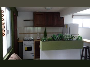 Roomgo MX - DEPARTAMENTO AMUEBLADO, Xalapa - MX$4,500 por mes