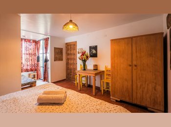 Roomgo MX - Bienvenido a Capital International Student Rooms 2026, San Andrés Cholula - MX$4,500 por mes
